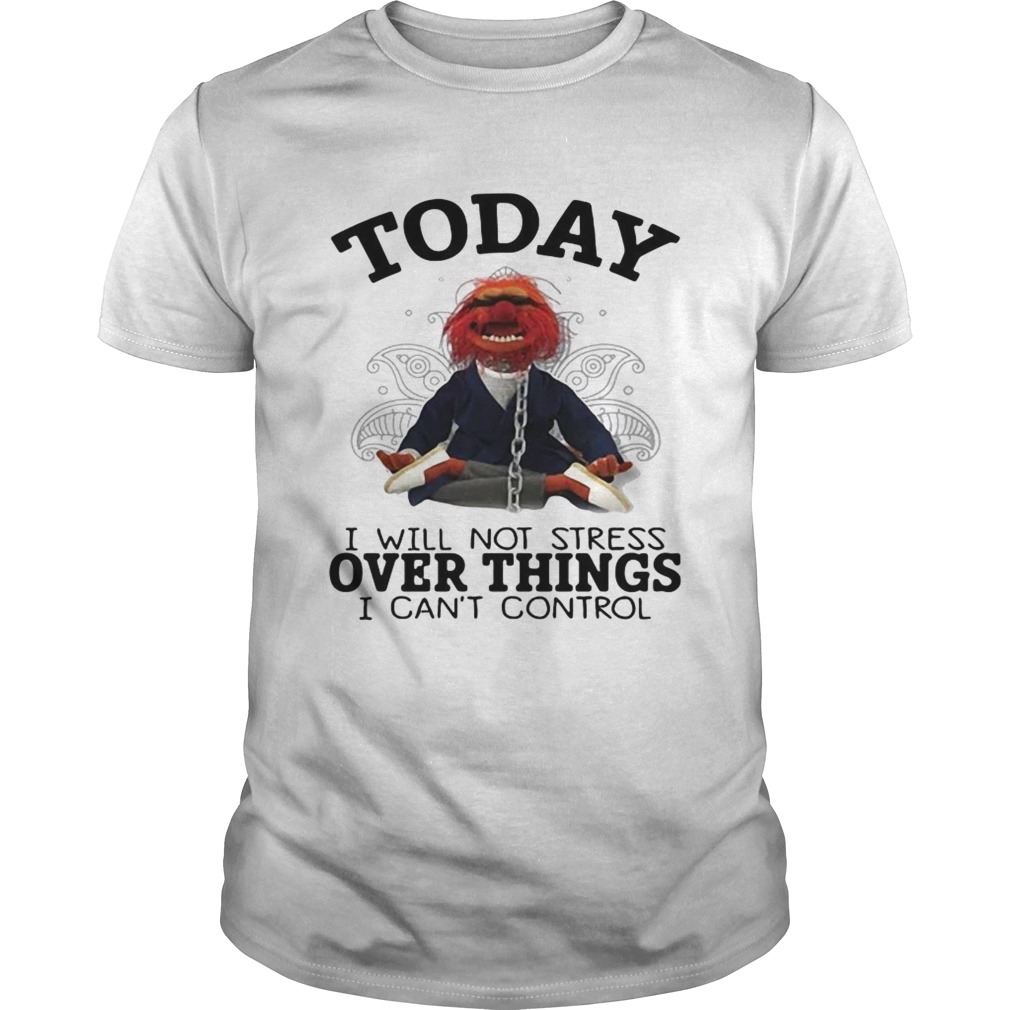 Muppet today I will not stress over things I cant control shirt