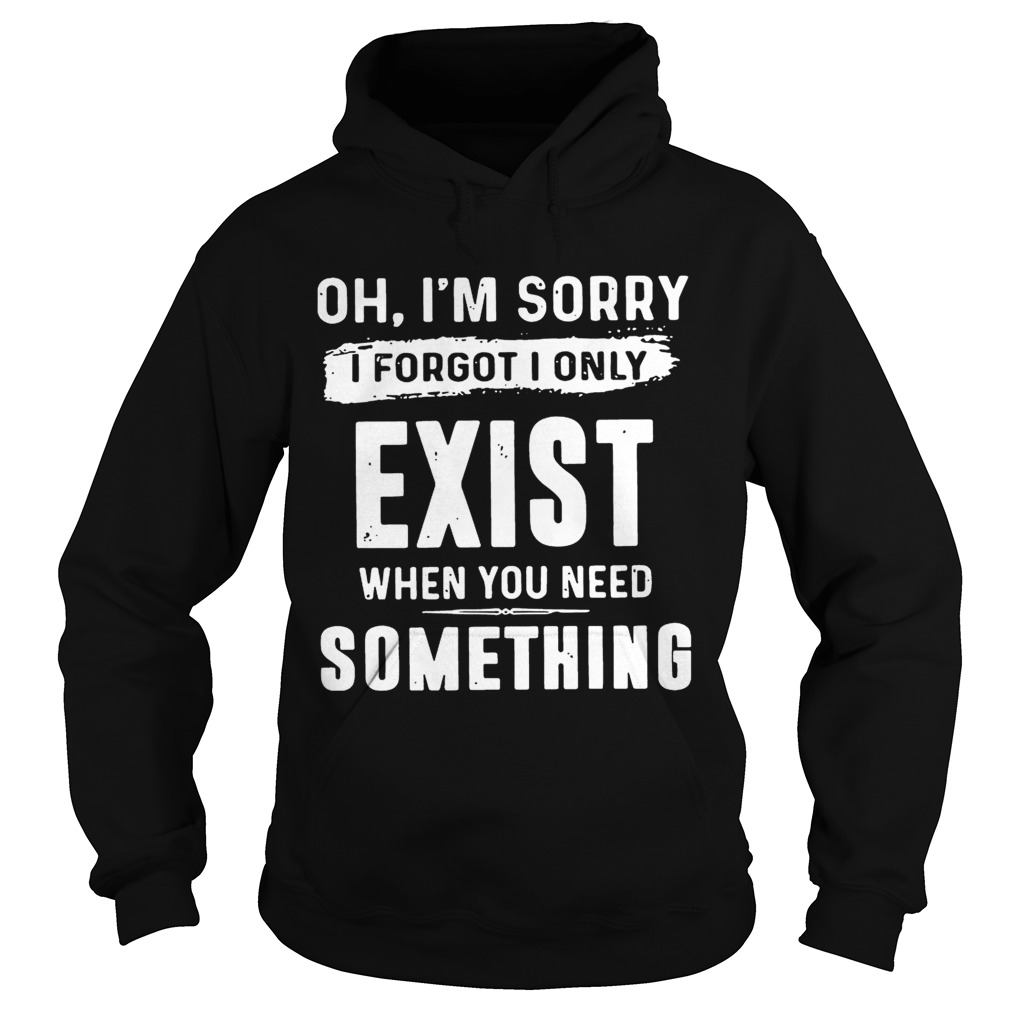 Oh Im sorry I forgot I only exist when you need something Hoodie