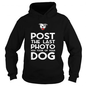 Pitbull postthe last photo you took of your dog Hoodie