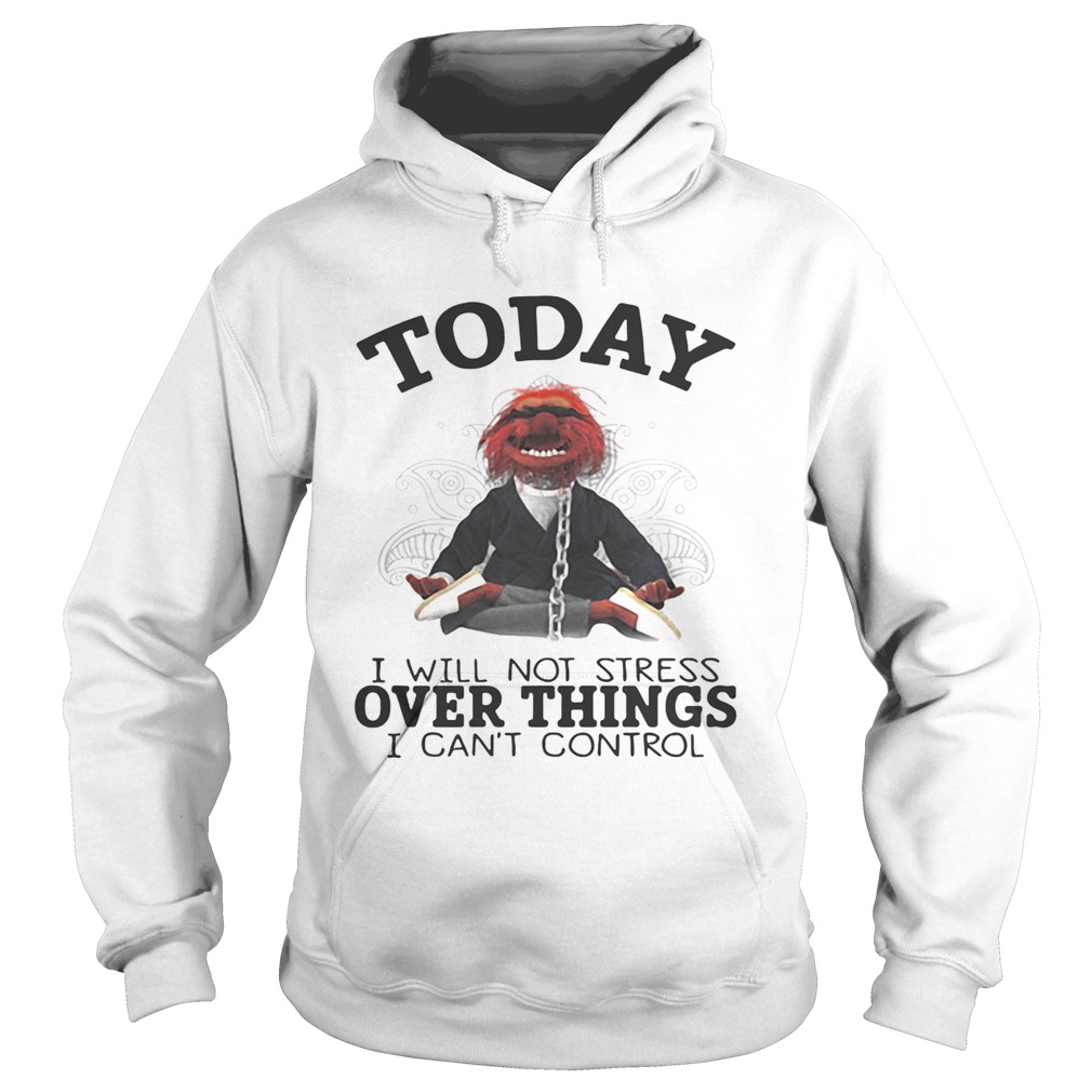 The Muppettoday I will not stress over things I cant control Hoodie