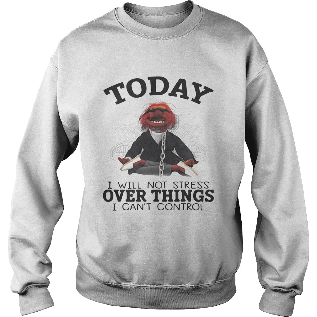 The Muppettoday I will not stress over things I cant control Sweatshirt