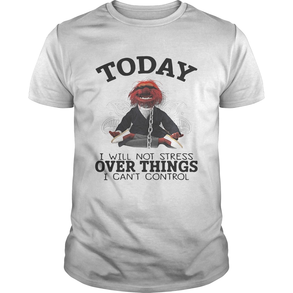 The Muppettoday I will not stress over things I cant control shirt