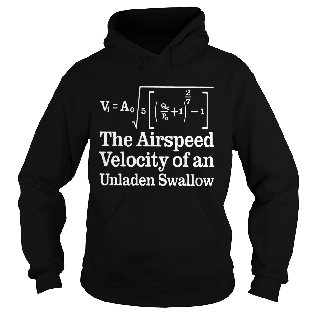 The airspeed velocity of an unladen swallow Hoodie