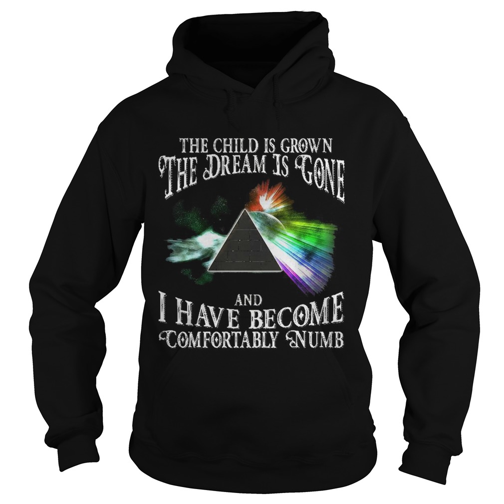 The child is grown the dream is gone and I have become comfortably numb Hoodie