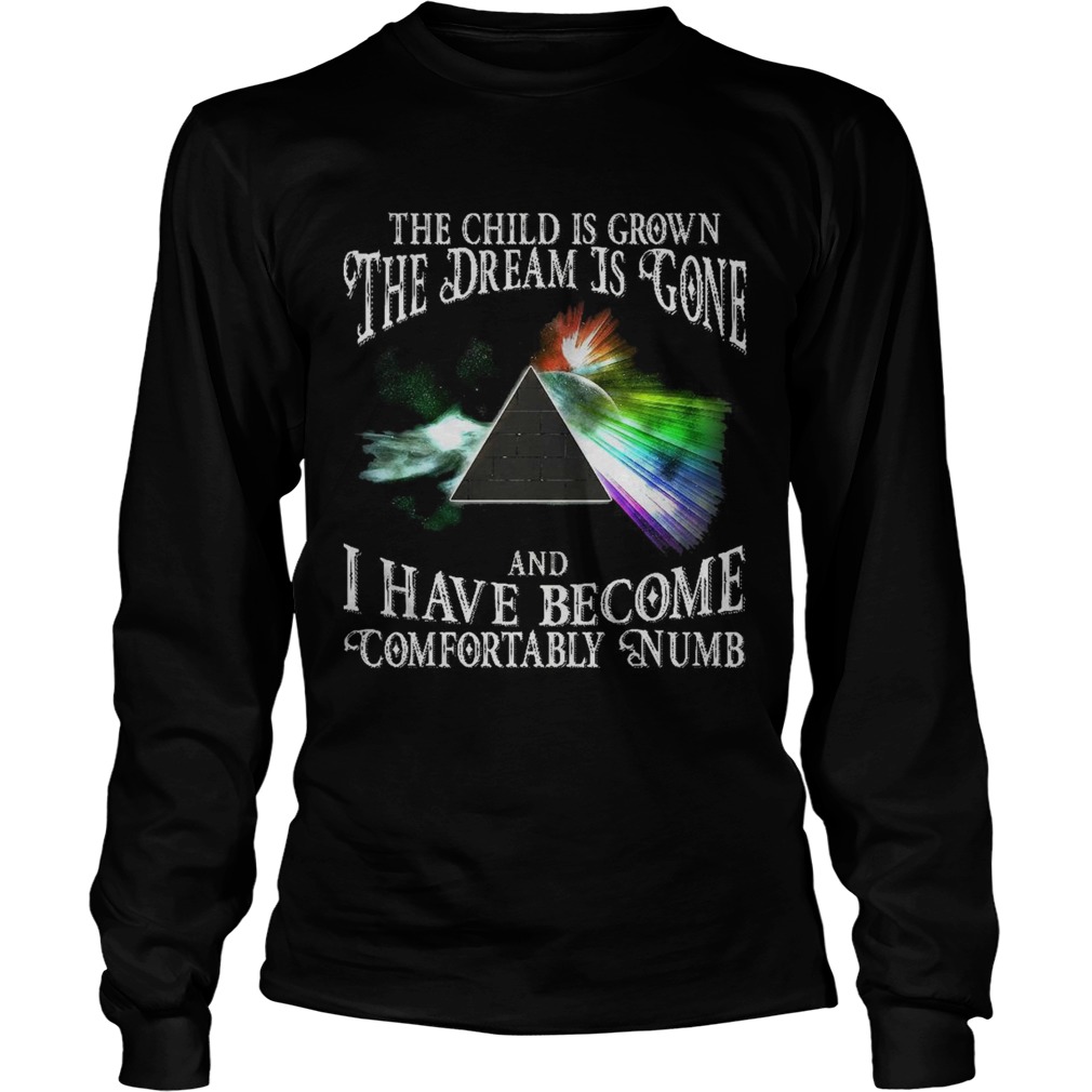 The child is grown the dream is gone and I have become comfortably numb LongSleeve