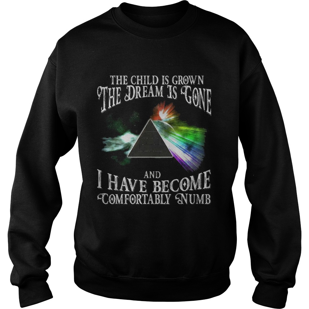 The child is grown the dream is gone and I have become comfortably numb Sweatshirt