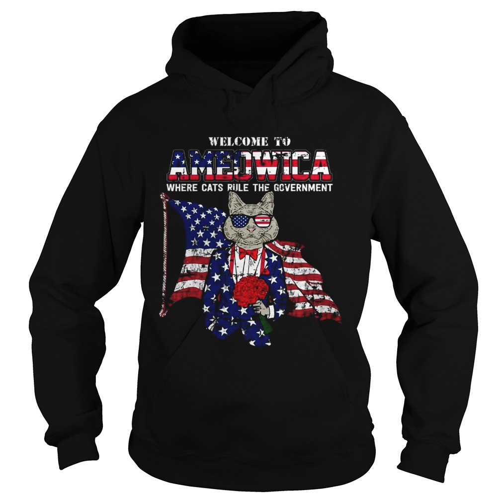 Welcome to Ameowica where cats rule the Government Hoodie