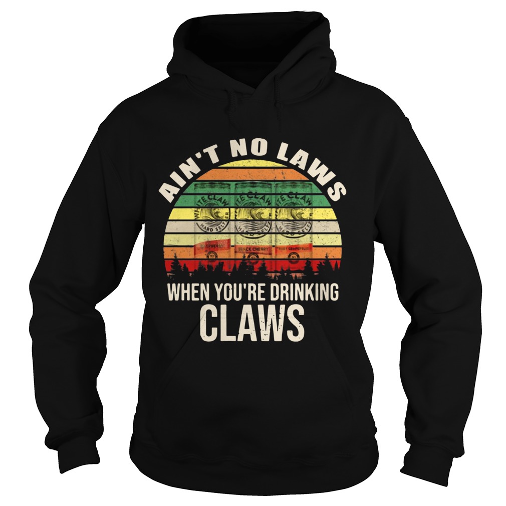 Aint no laws when youre drinking claws Hoodie