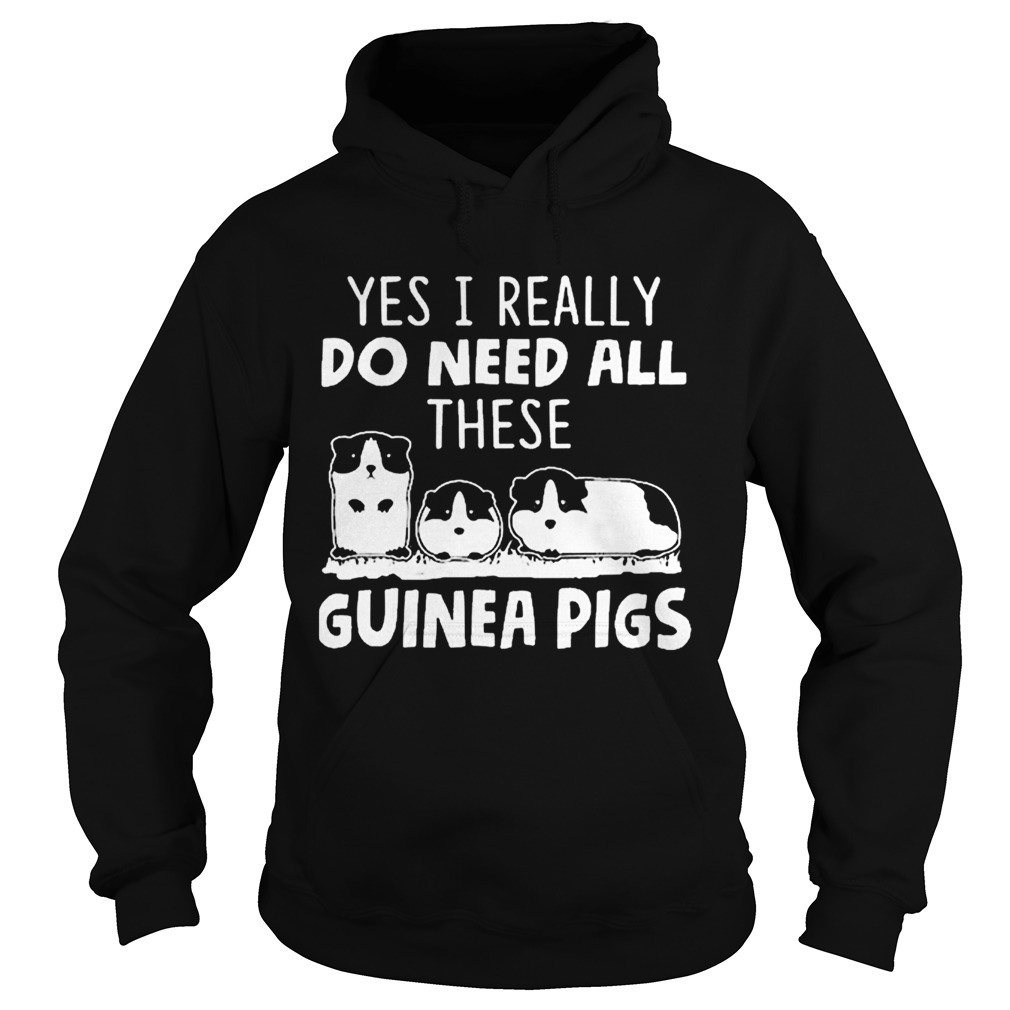 All i need is this guinea pigs Hoodie