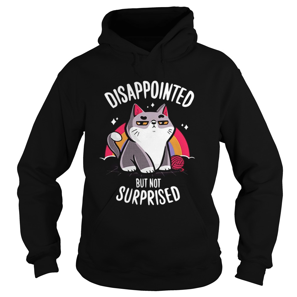 Cat Disappointed but not surprised Hoodie