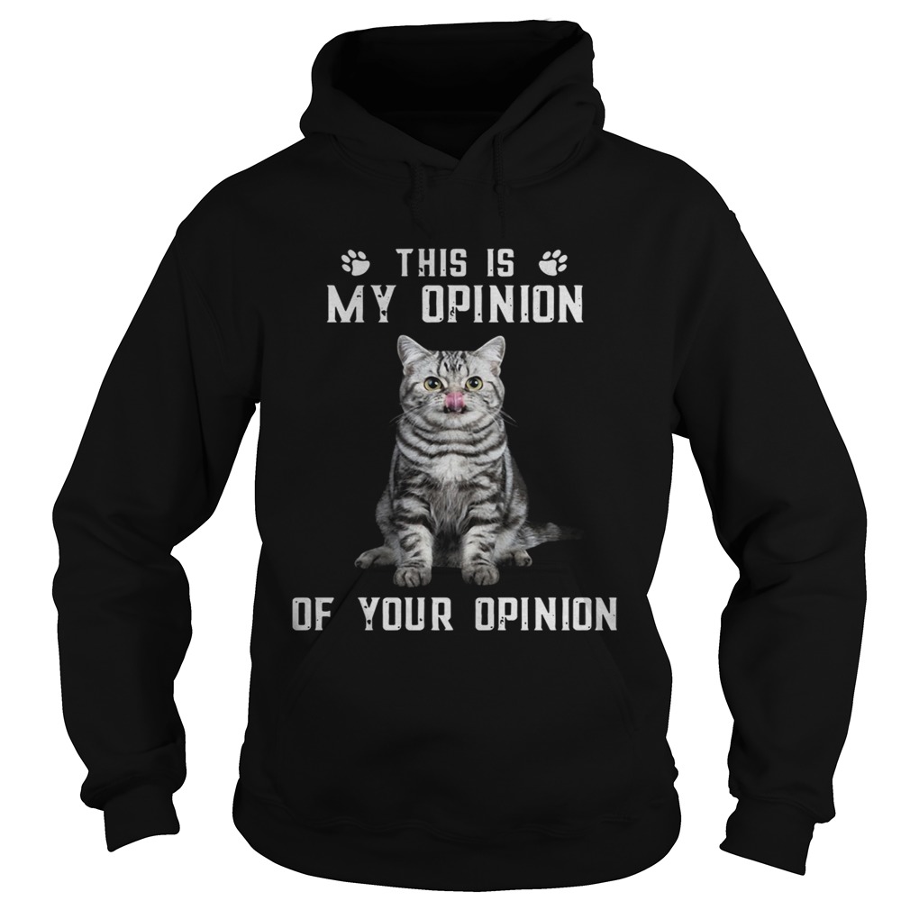 Catthis is my opinion of your opinion Hoodie
