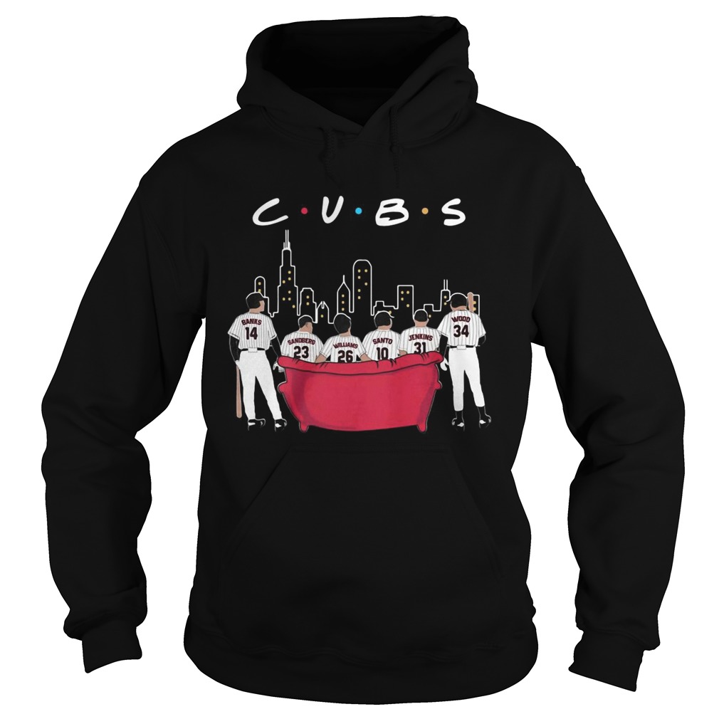 Chicago CUBS baseball Hoodie