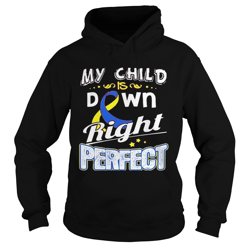 Down Syndrome Awareness My child is down right perfect Hoodie