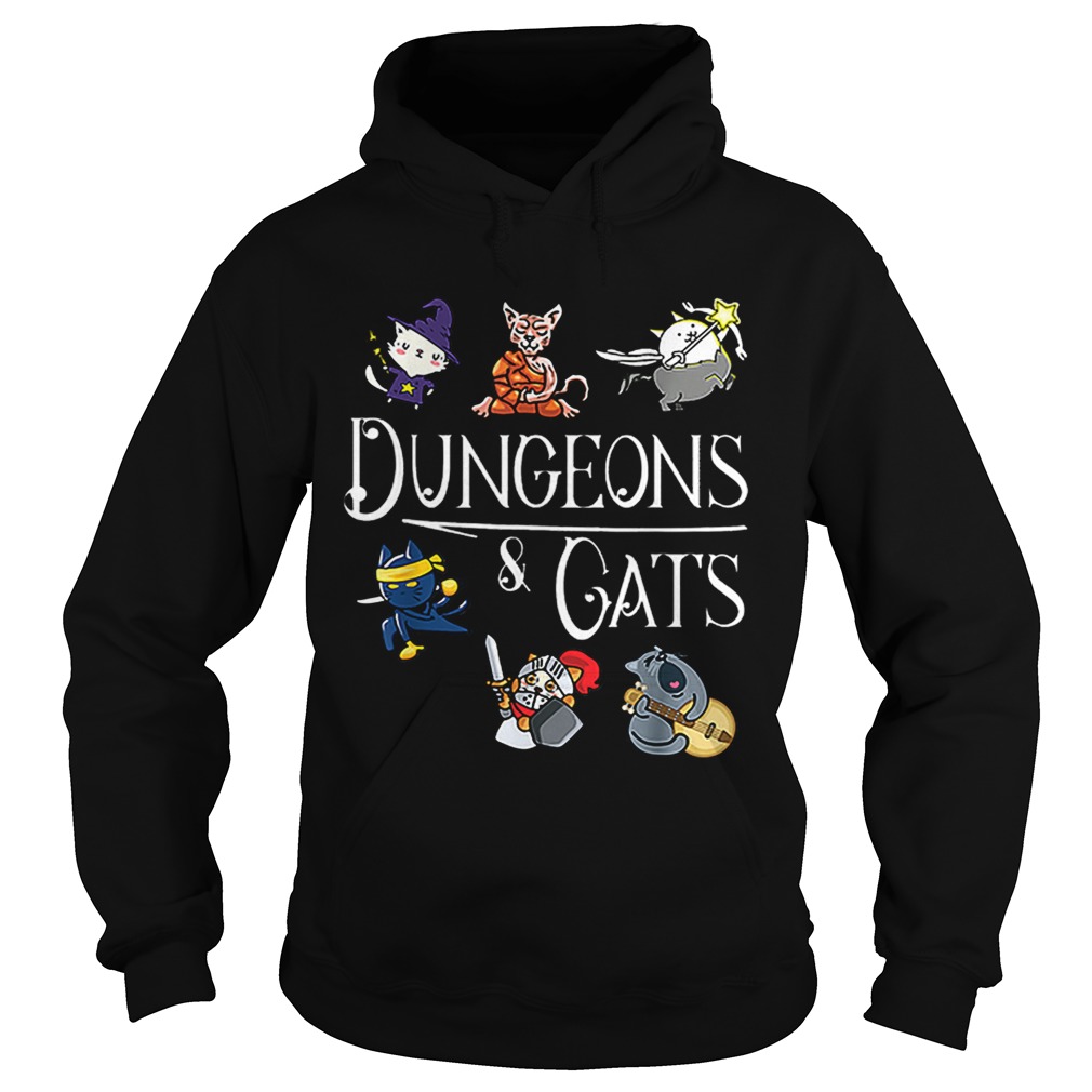Dungeons and Cats Cartoon Character Cat Lover Hoodie