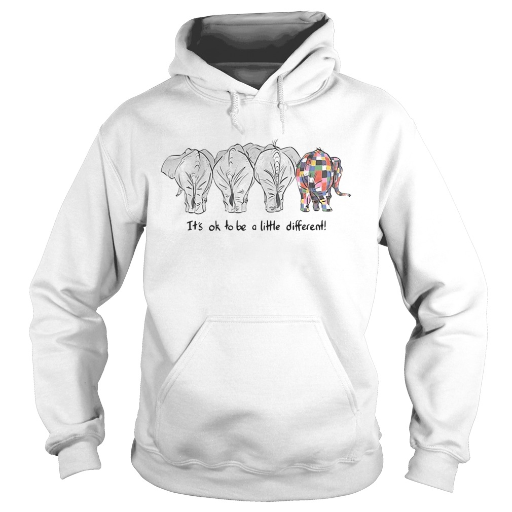 Elephants its ok to be a little different Hoodie