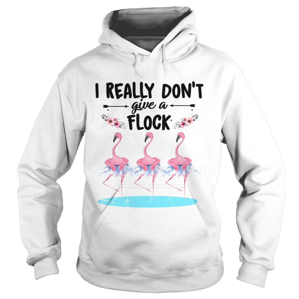 Flamingo ballet dont give a flock Hoodie