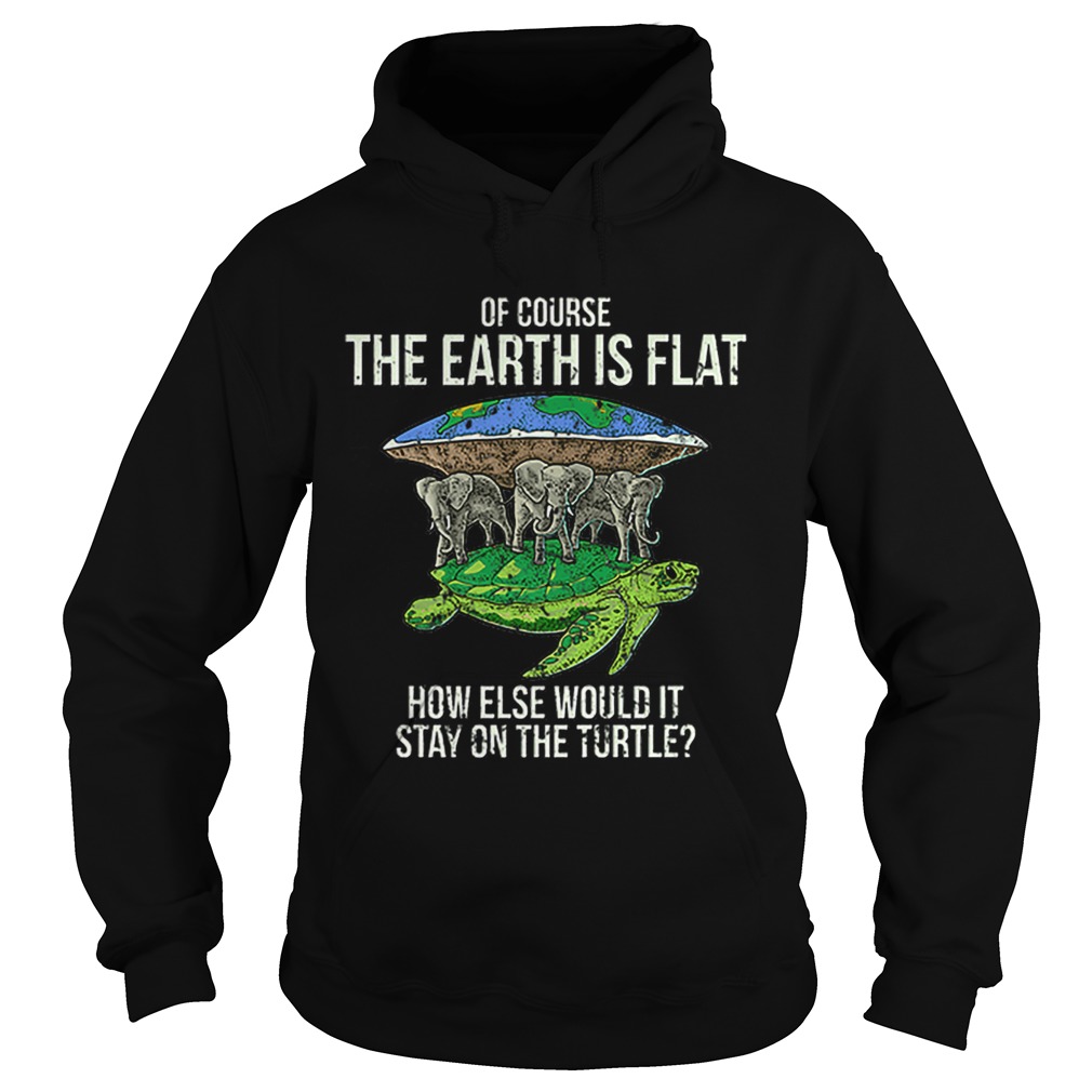 Flat Earth Society Turtle Elephants Stay On The Turtle Hoodie
