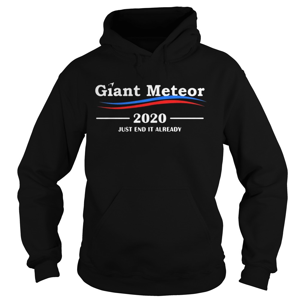 Giant Meteor 2020 just end it already Hoodie