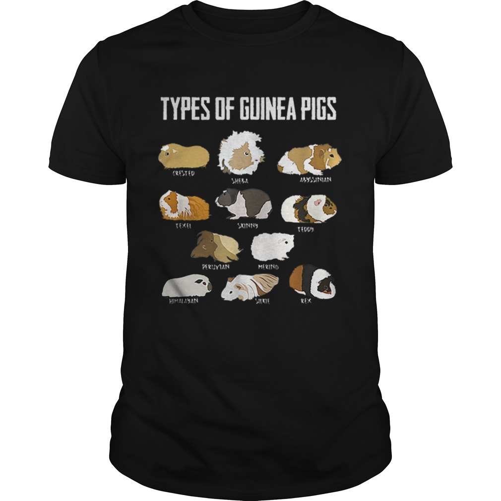 Guinea Pig Girl Types Of Guinea Pigs Guinea Texel Skinny Teddy shirt