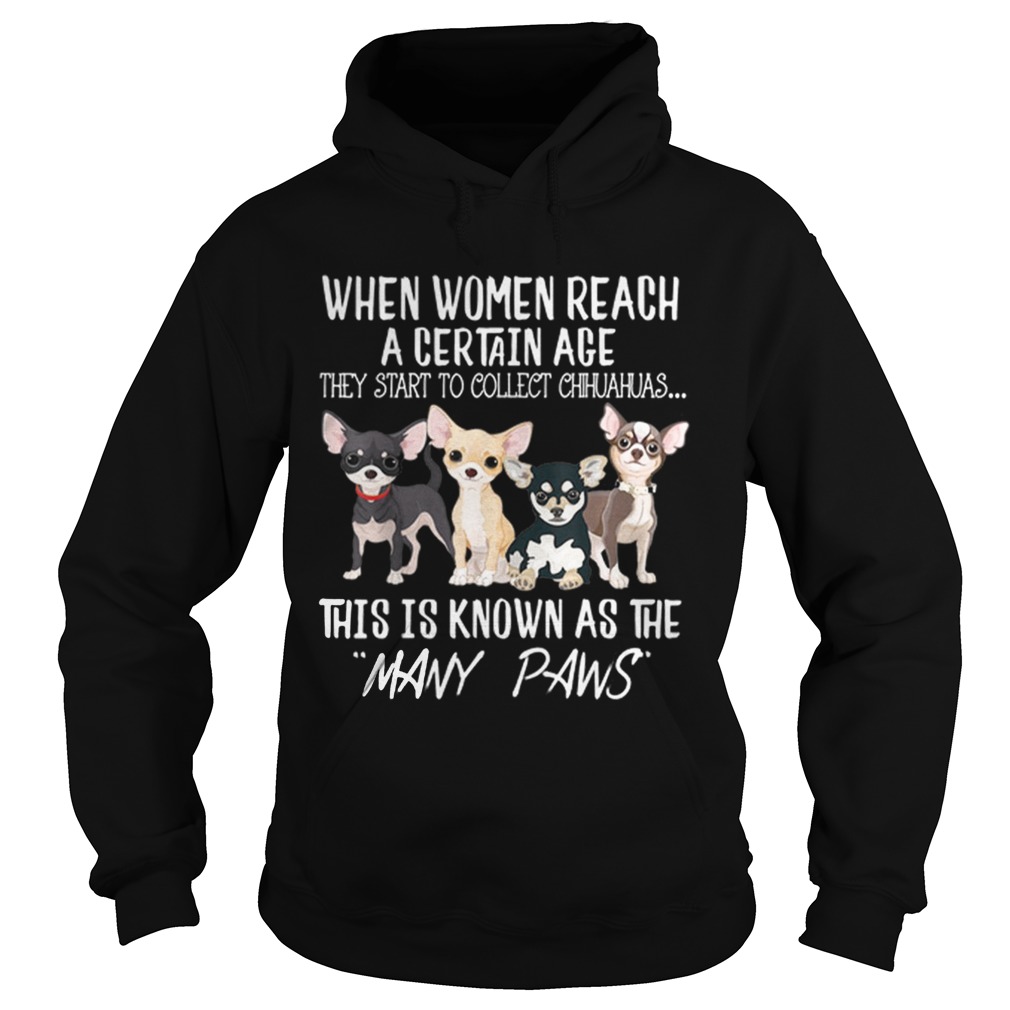 Hot Women Start To Collect Chihuahua When Women Reach A Certain Age Hoodie