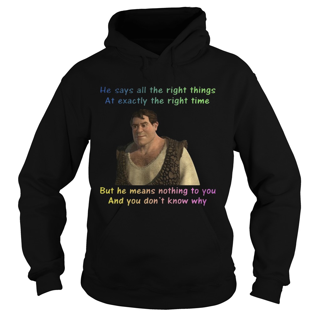 Human Shrek he says allthe rightthings at exactly the righttime Hoodie