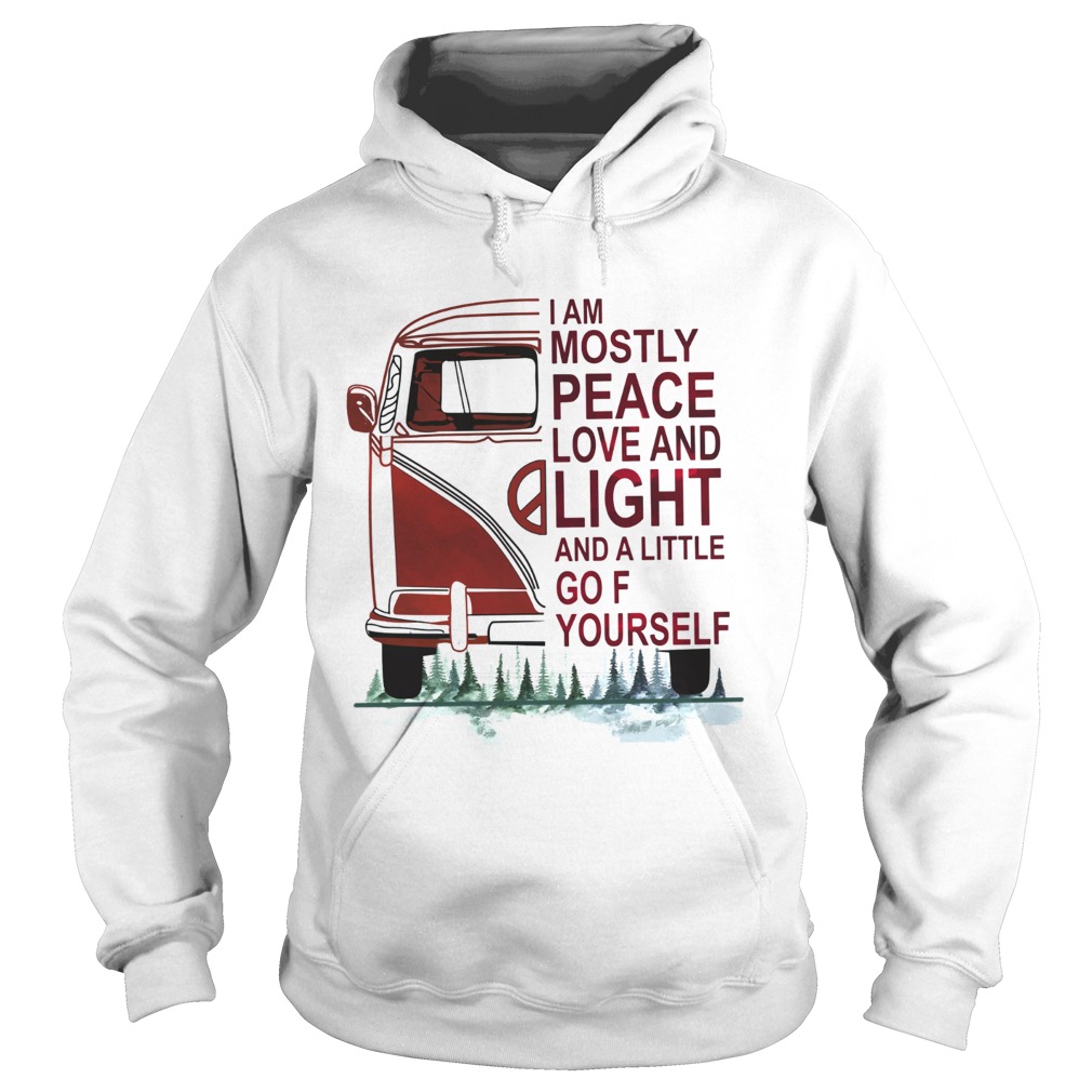I am mostly peace love and light and a little go Fuck yourself Hoodie