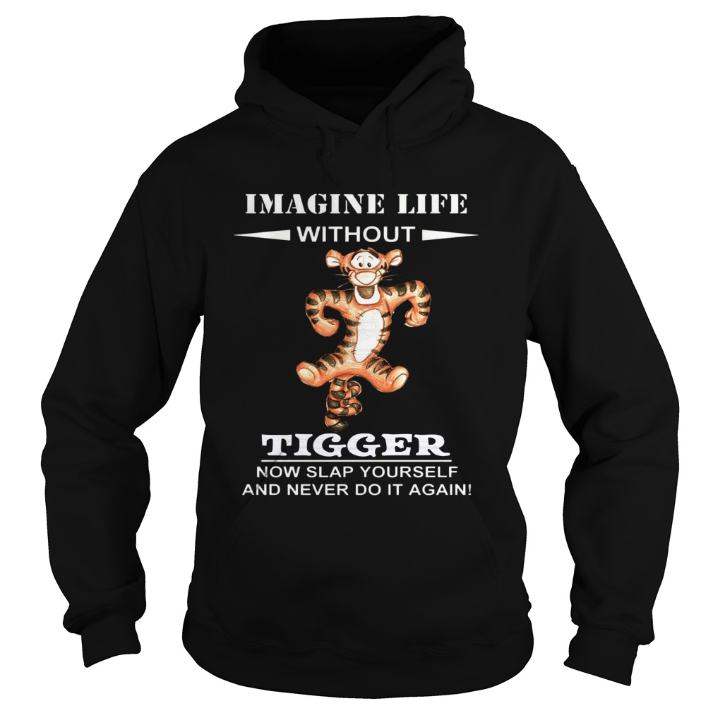 Image life without Tiger now slap yourself and never do it again Hoodie