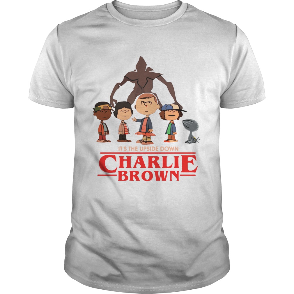 Its the upside down Charlie Brown Stranger Things shirt