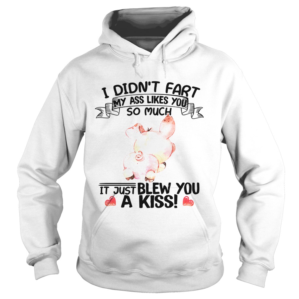 Pig I didntfart my ass likes you so much itjust blew you a kiss Hoodie