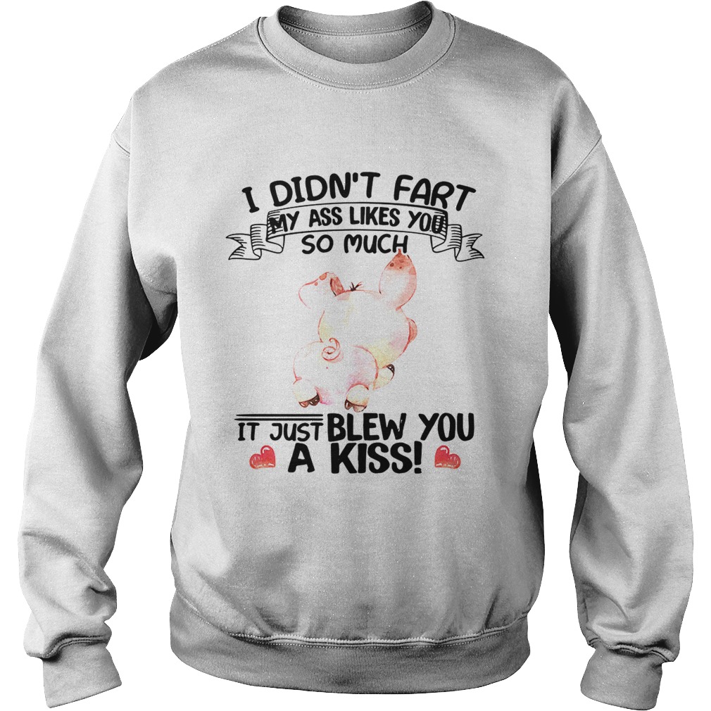 Pig I didntfart my ass likes you so much itjust blew you a kiss Sweatshirt