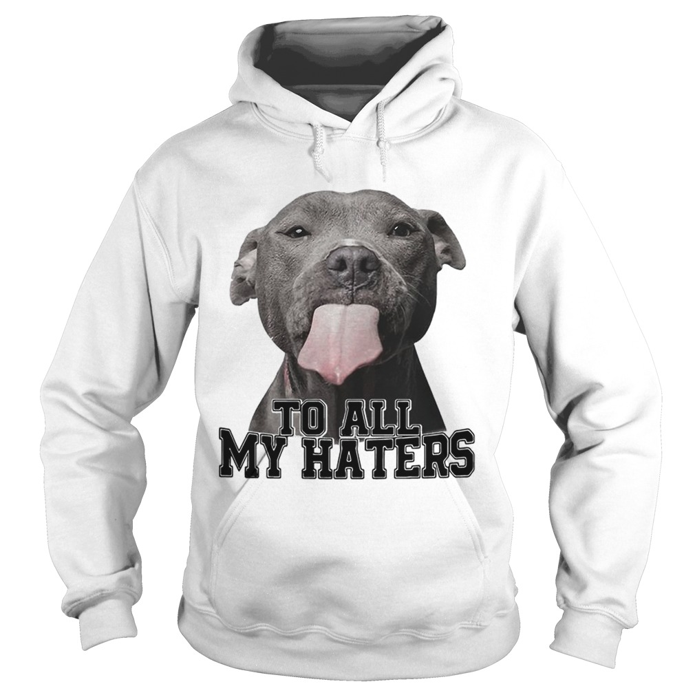 Pitbull to all my haters Hoodie