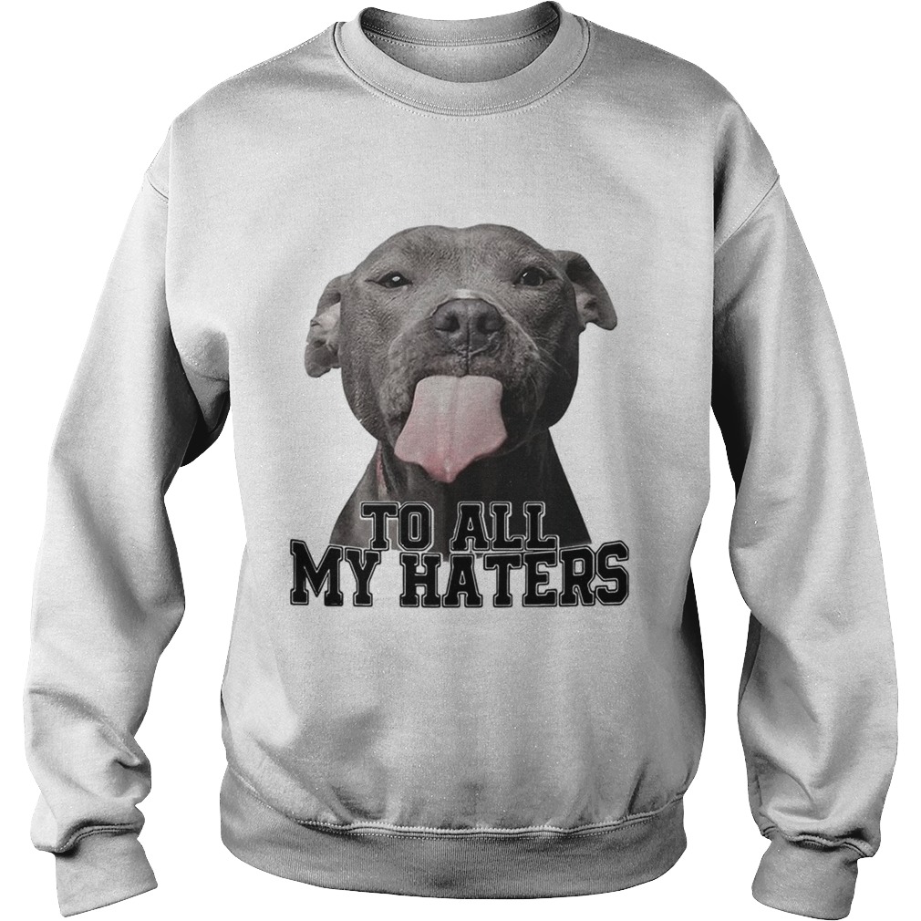 Pitbull to all my haters Sweatshirt