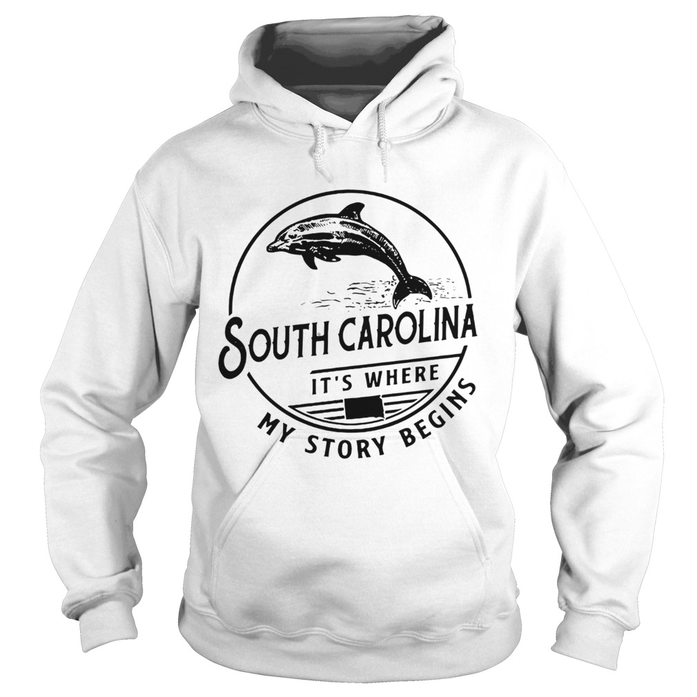 South Carolina its where my story begins Hoodie