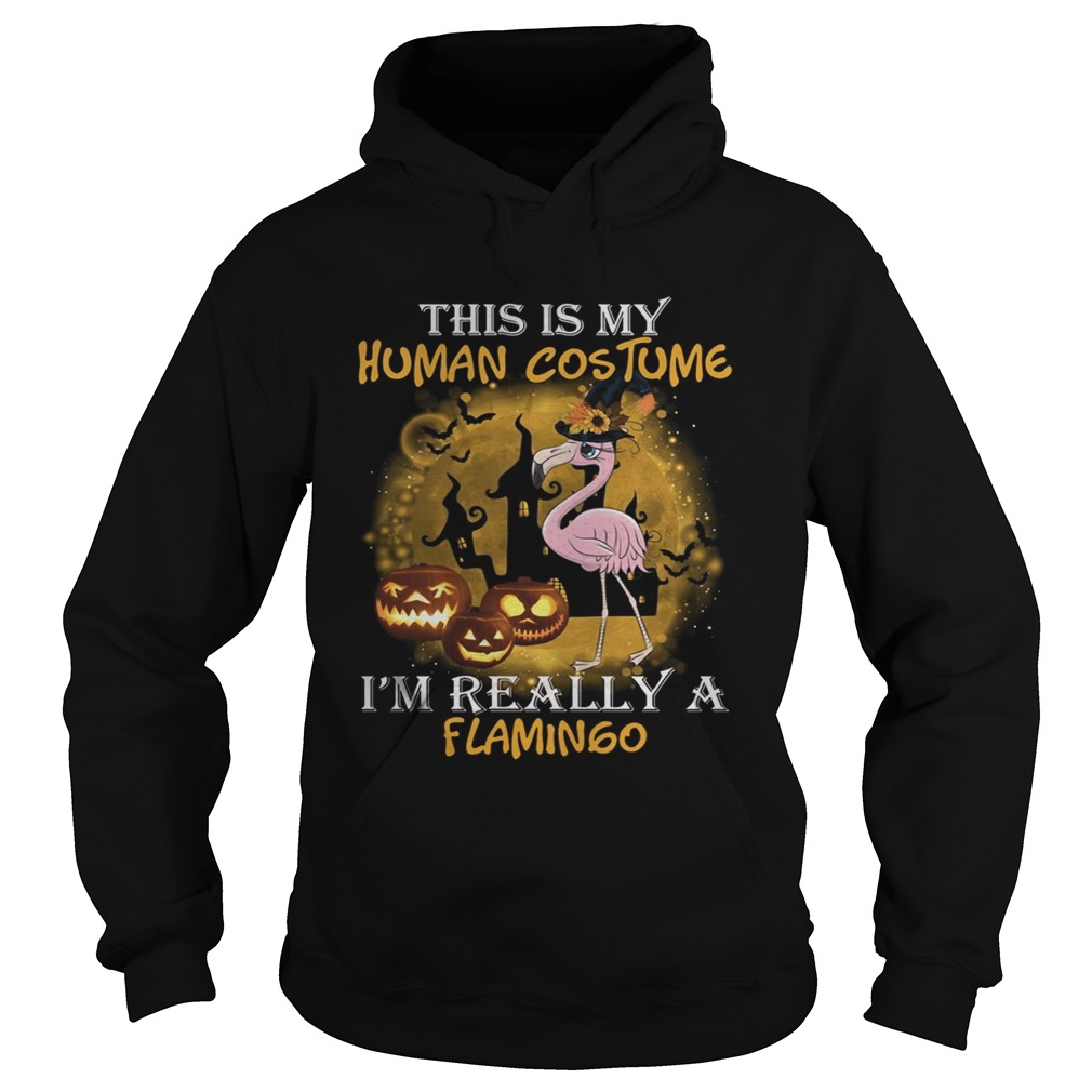 This is my human costume Im really a Flamingo Hoodie