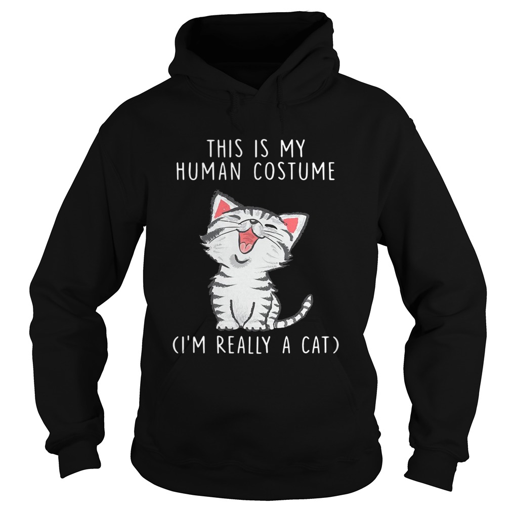 This is my human costume Im really a cat Hoodie