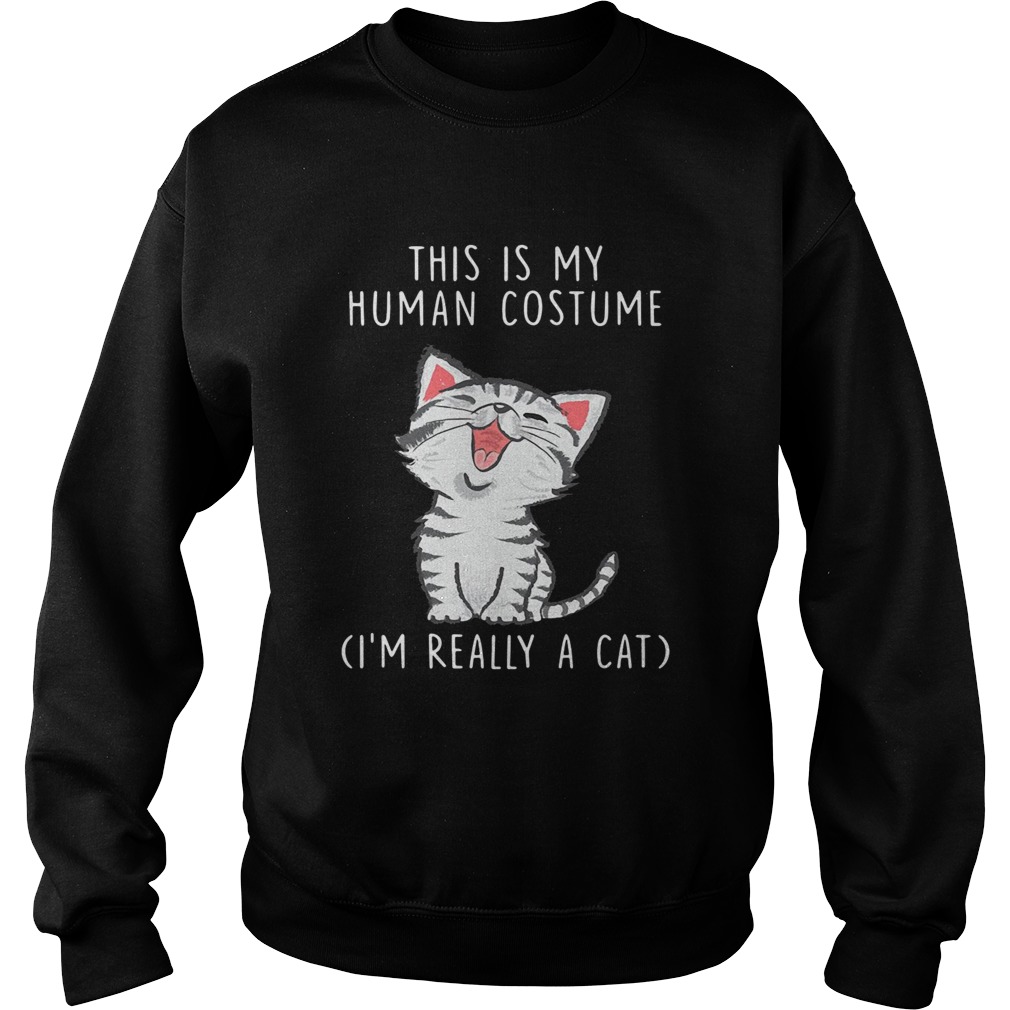 This is my human costume Im really a cat Sweatshirt