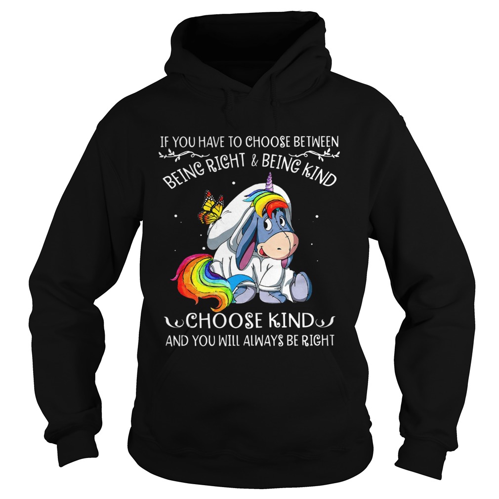 Unicorn Eeyore if you have to choose between being right and kind Hoodie