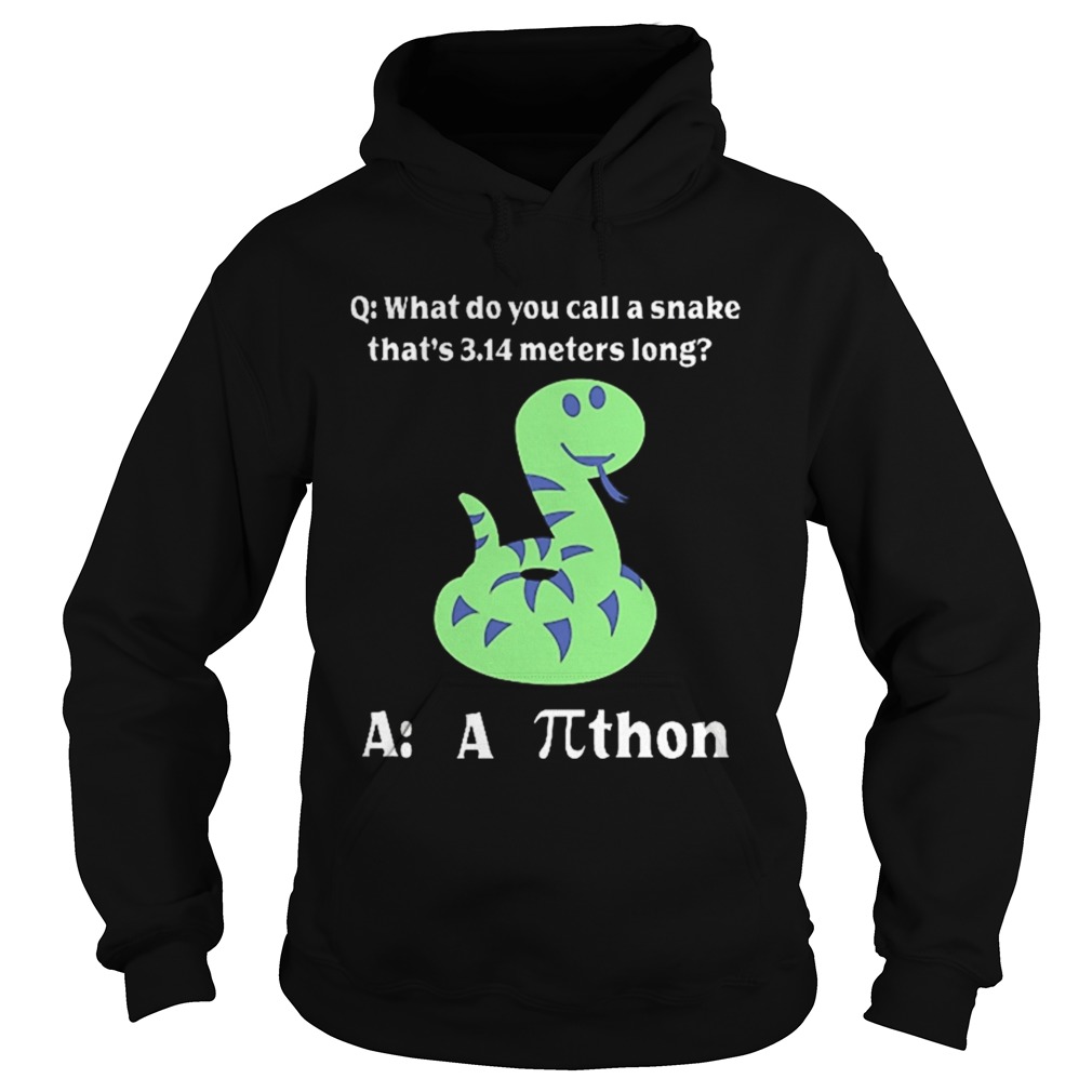 What do you call a snake thats 314 meters long athon Hoodie
