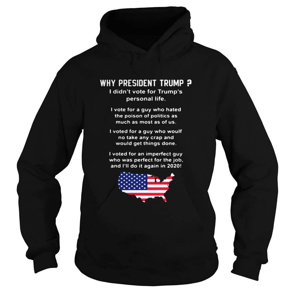 Why president Trump I didnt vote for Trumps personal life Hoodie