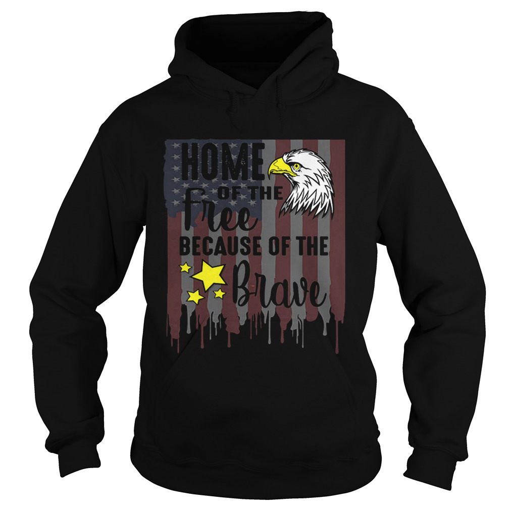 ome Of Free Because Of Brave Usa Veterans 4th Of July Hoodie