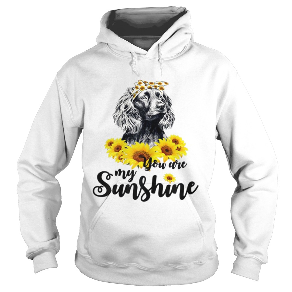 Boykin Spaniel You Are My Sunshine Sunflower Hoodie