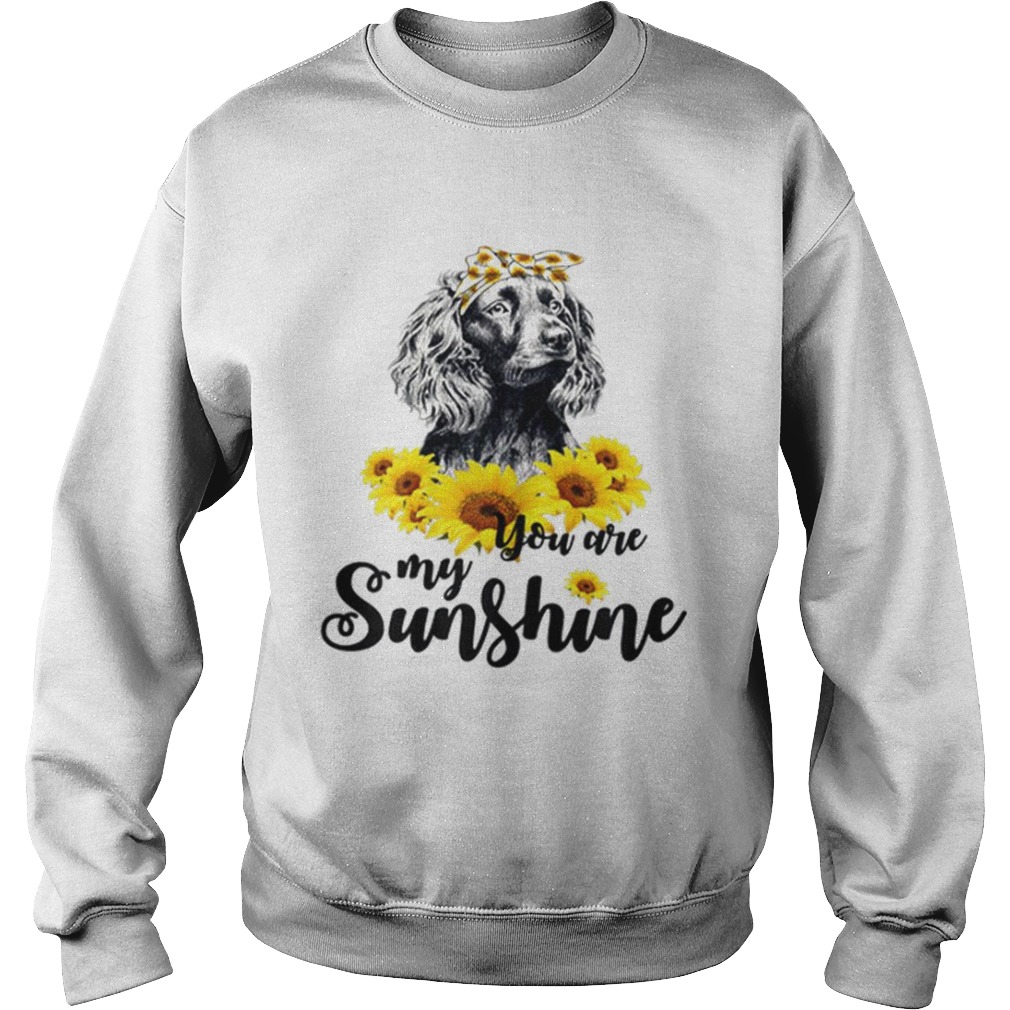 Boykin Spaniel You Are My Sunshine Sunflower Sweatshirt