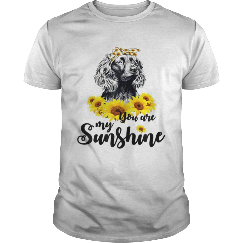 Boykin Spaniel You Are My Sunshine Sunflower shirt