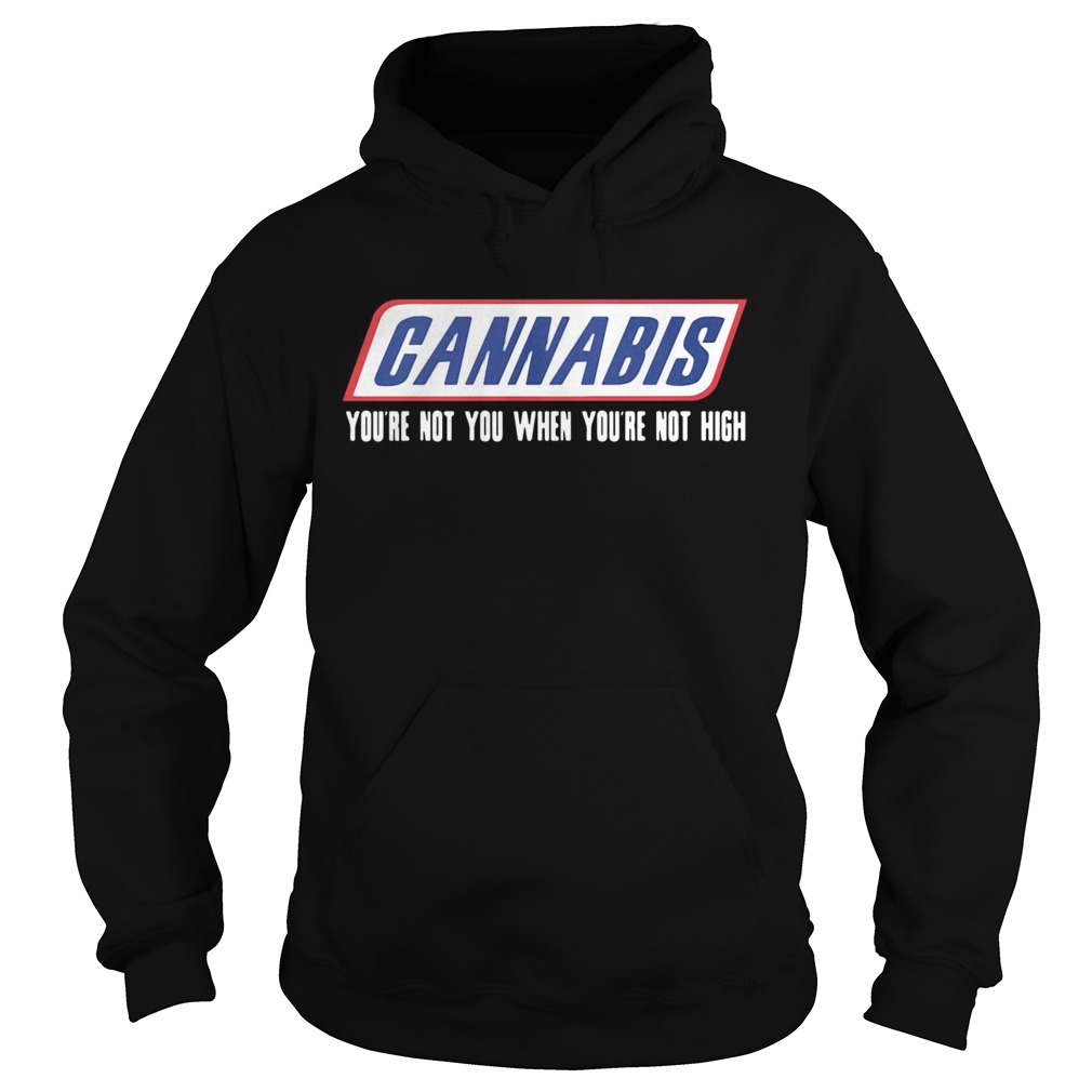Cannabis youre not you when youre not high Hoodie