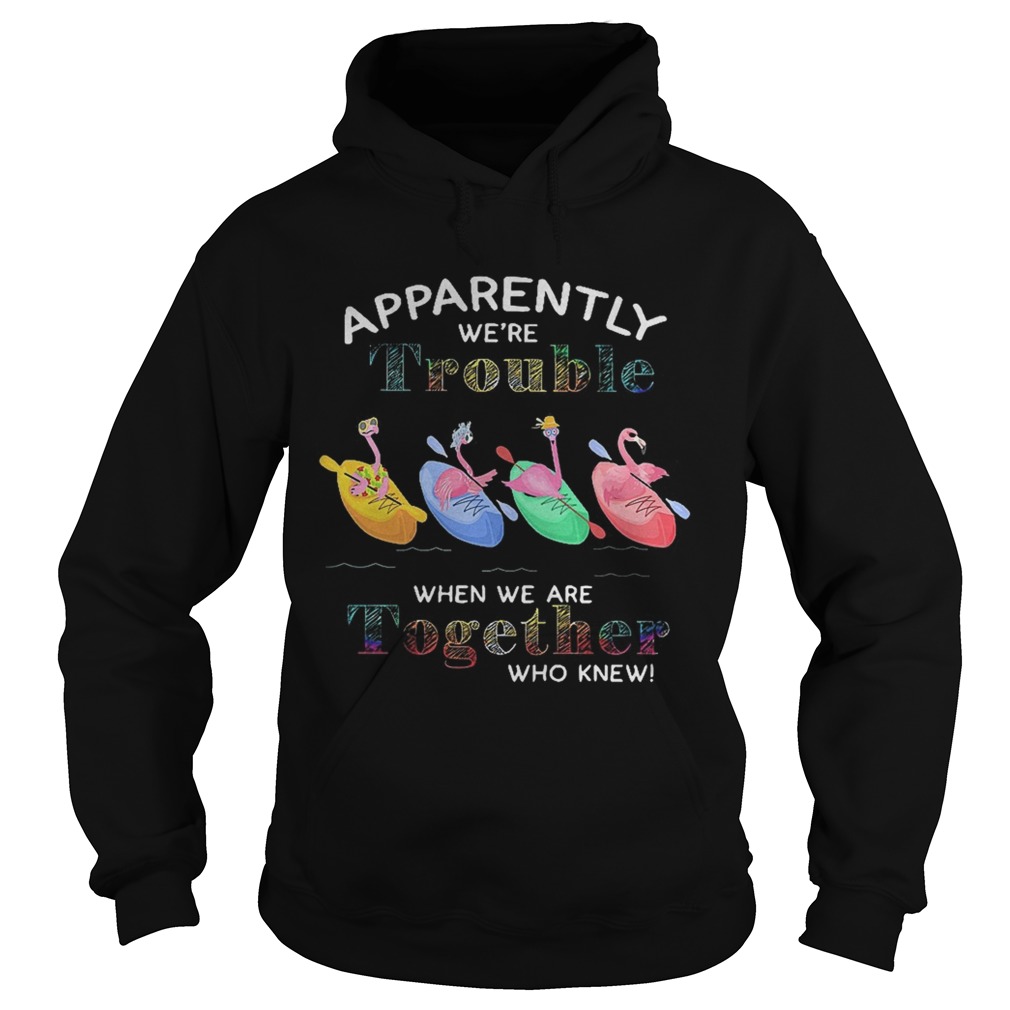 Flamingo apparently were trouble when we are together who knew Hoodie
