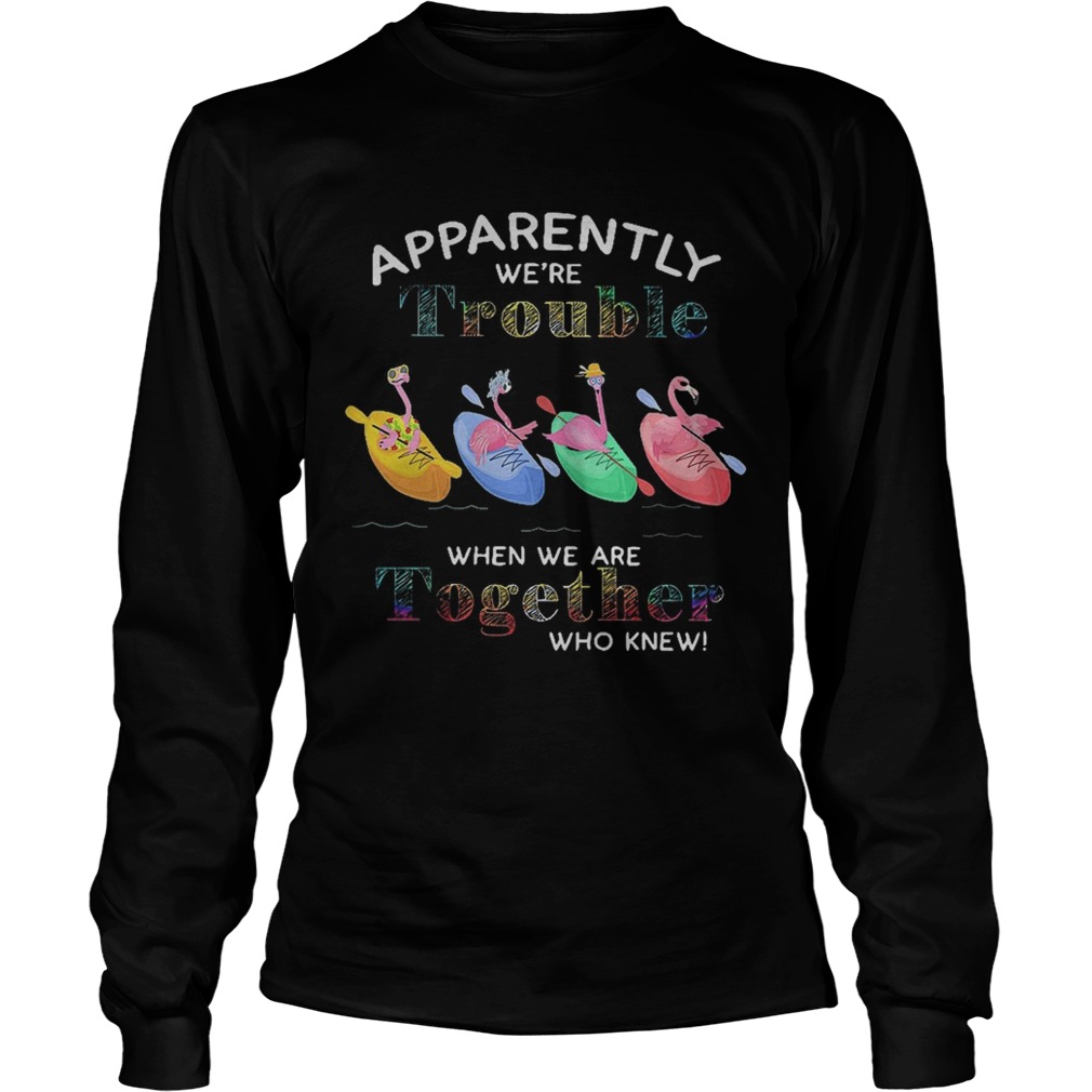 Flamingo apparently were trouble when we are together who knew LongSleeve