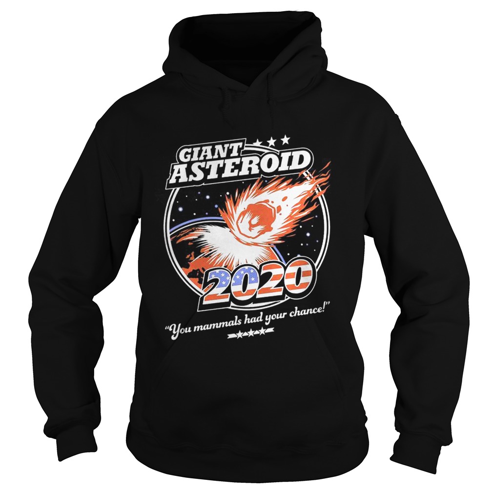 Giant Asteroid 2020 Shirt Hoodie