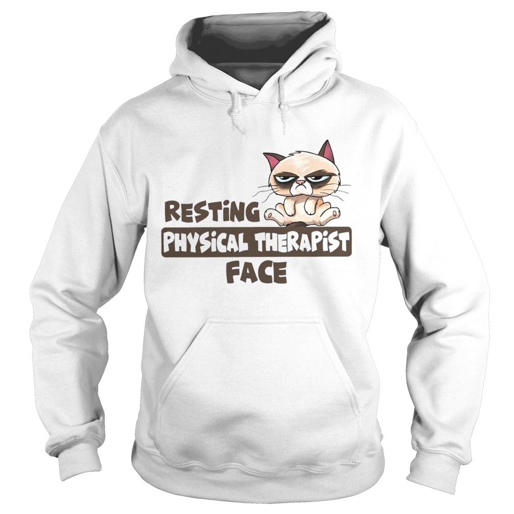 Grumpy cat resting physical therapist face Hoodie