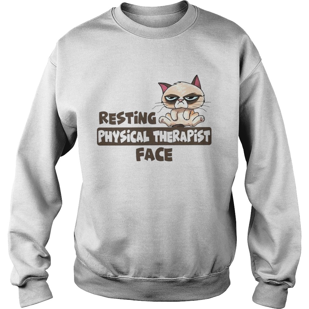 Grumpy cat resting physical therapist face Sweatshirt