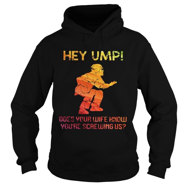 Hey ump does your wife know youre screwing us  Hoodie